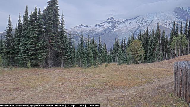 Sunrise (Mt Rainier NP) Webcam
