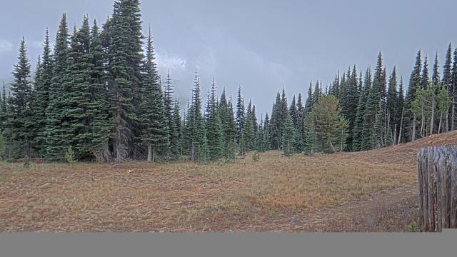 Sunrise (Mt Rainier NP) Webcam