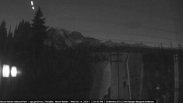 Paradise (Mt Rainier NP) Webcam