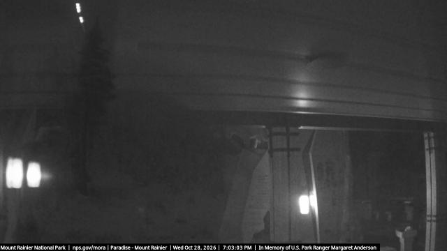 Paradise (Mt Rainier NP) Webcam