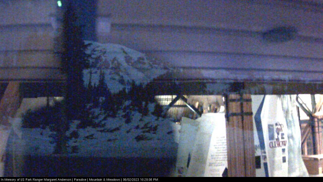 Paradise at Mount Rainier NP Webcam