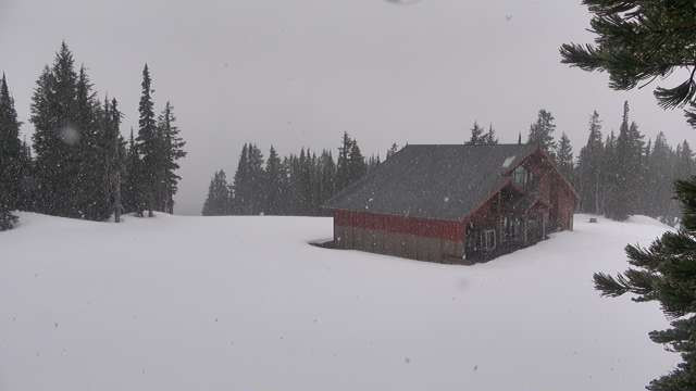 High Camp at White Pass Ski Area Webcam