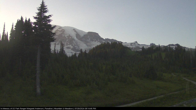 Paradise at Mount Rainier NP Webcam