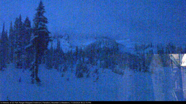 Paradise at Mount Rainier NP Webcam