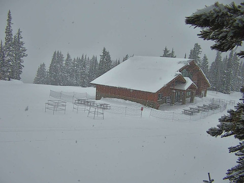 High Camp at White Pass Ski Area Webcam