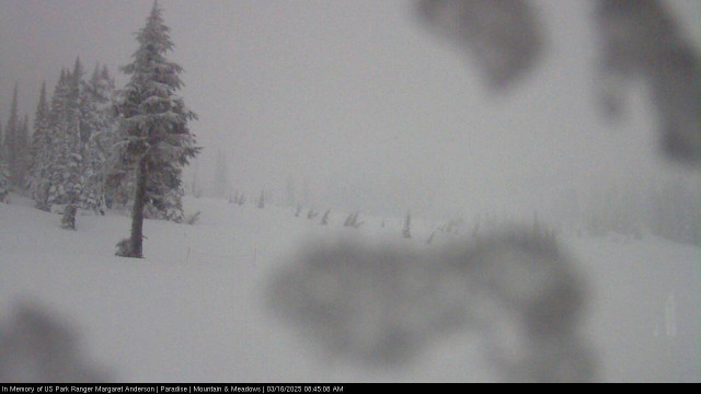 Paradise at Mount Rainier NP Webcam