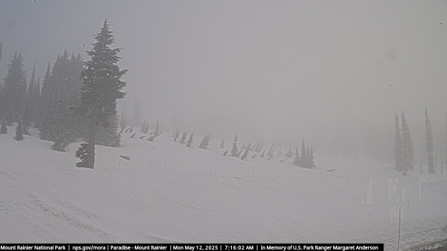Paradise at Mount Rainier NP Webcam