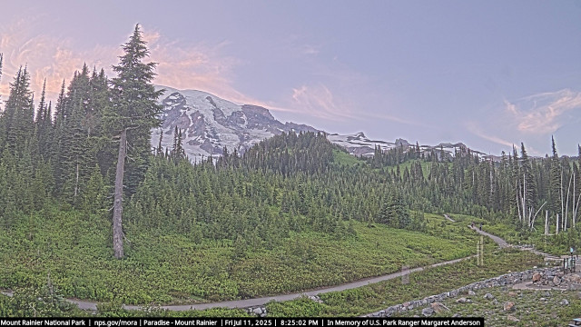 Paradise at Mount Rainier NP Webcam
