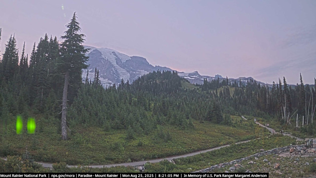 Paradise at Mount Rainier NP Webcam