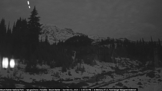 Paradise at Mount Rainier NP Webcam