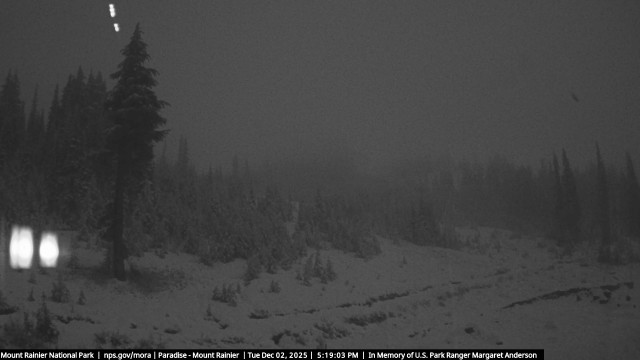 Paradise at Mount Rainier NP Webcam
