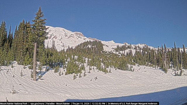 Paradise at Mount Rainier NP Webcam