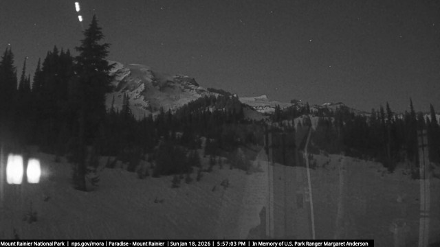 Paradise at Mount Rainier NP Webcam