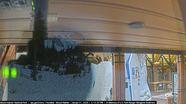 Paradise at Mount Rainier NP Webcam