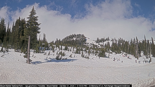 Paradise at Mount Rainier NP Webcam
