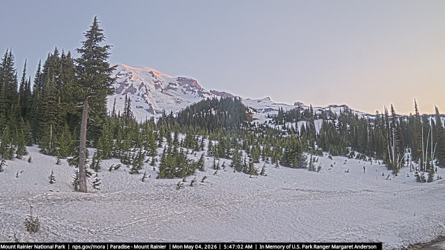 Paradise at Mount Rainier NP Webcam