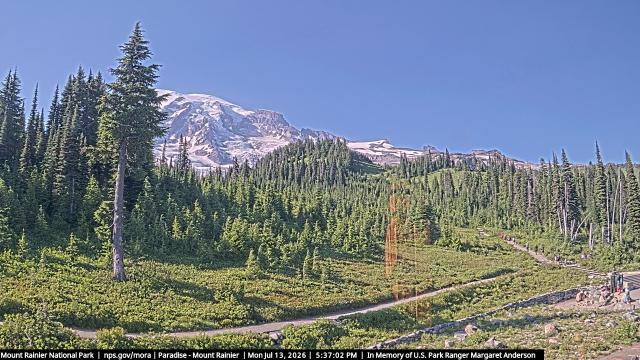 Paradise (Mt Rainier NP) Webcam